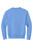 Carolina Blue