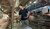 CornerStone ®  Workwear Pro Gripper Polo CS454