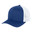 Royal/ White