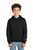 Champion-®--Youth-Powerblend-®--Hooded-Sweatshirt-S790-48