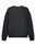 G. Dyed Black Rock