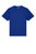 Worker Blue