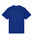 Worker Blue
