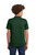 Deep Forest Green