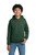 Fan Dark Green