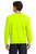 Safety Green