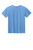 Carolina Blue