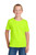 Safety Green