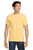 Yellow Haze