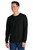 Shirt-560LS-1