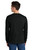 Shirt-560LS-2
