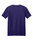 Fan Dark Purple