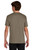 Brown Savana