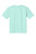 Pastel Mint