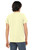 Pale Yellow Triblend