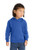 Port & Co ™  Toddler Core Fleece Pullover Hooded Sweatshirt. CAR78TH