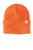 Carhartt ®  Watch Cap 2.0 CT104597