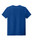 Royal Glass Blue