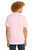 Carnation Pink