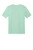 Frosted Mint
