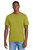 Golden Cypress Green