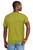 Golden Cypress Green