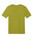 Golden Cypress Green