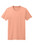 District-Wash-™--Tee-DT2101-48