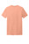District-Wash-™--Tee-DT2101-49
