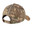 Realtree Edge