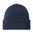 Insignia Blue