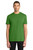 Kiwi Green