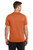 Desert Orange