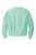 Pale Seafoam