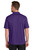 Prism Purple