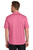 Awareness Pink