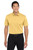 Sunbeam Yellow