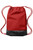 University Red