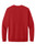University Red