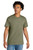 Light Olive