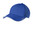 Enzyme Blue