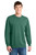 Nordic Green
