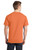 Orange Sherbet