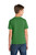 Kiwi Green