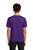 Team Purple