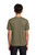 Coyote Brown