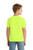 Safety Green
