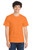 Orange Sherbet