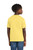 Daffodil Yellow