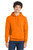 Tennessee Orange